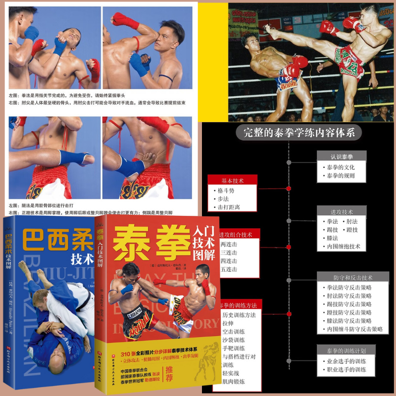 【泰拳入門科技圖解】